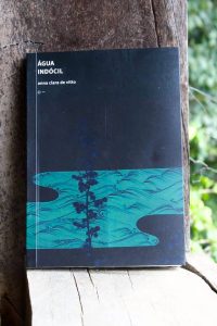capa Água indócil 200x300 - ENTREVISTA | Fernando Andrade entrevista a poeta Anna Clara de Vitto