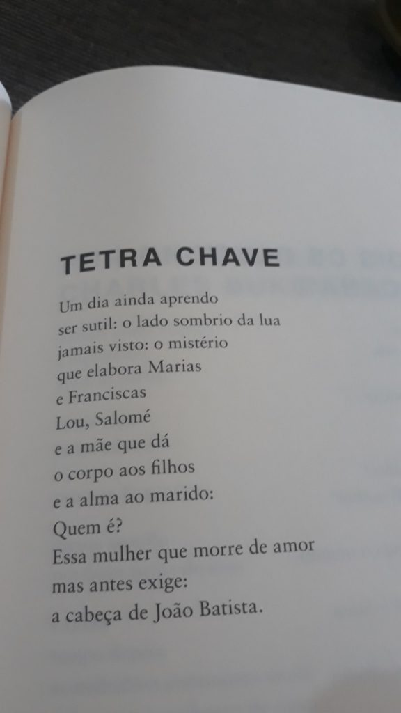 Screenshot 20200126 180249 Photos 576x1024 - Três poemas do livro "Novíssimo Marginal" de Lou Albergaria