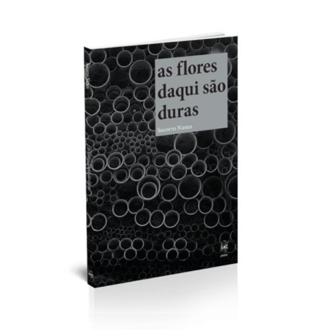 Socorro Nunes As flores daqui são duras - A crueza do cotidiano em As flores são duras | Marcelo Frota