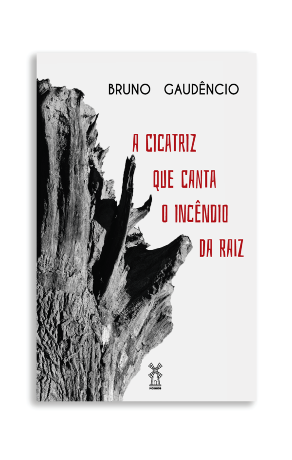 BRUNO GAUDENCIO e1536537698619 - Livro de poemas A cicatriz que canta o incêndio da raiz faz um sincretismo de matérias para formar um corpo poético matizado de belas imagens