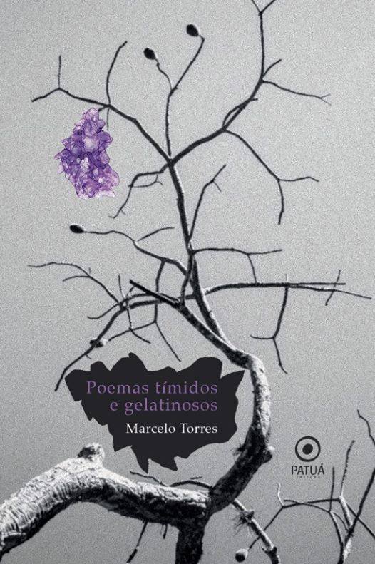 amarcelo torres - Livro de poemas Tímidos e gelatinosos cria belas rupturas de lastro-gera-ação com fremes sentidos.
