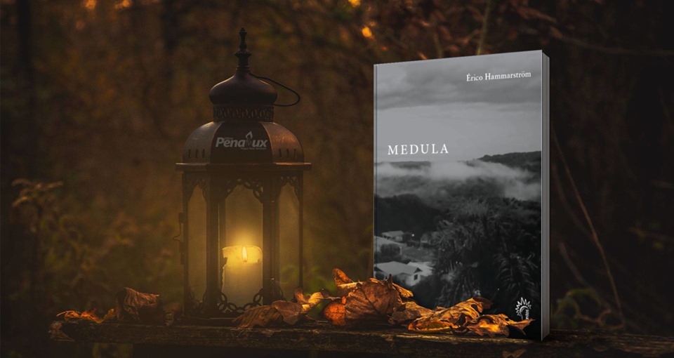 ERICO MEDULA - A interpretação da palavra e seus variados significados são a força motriz de Medula - por Marcelo Frota