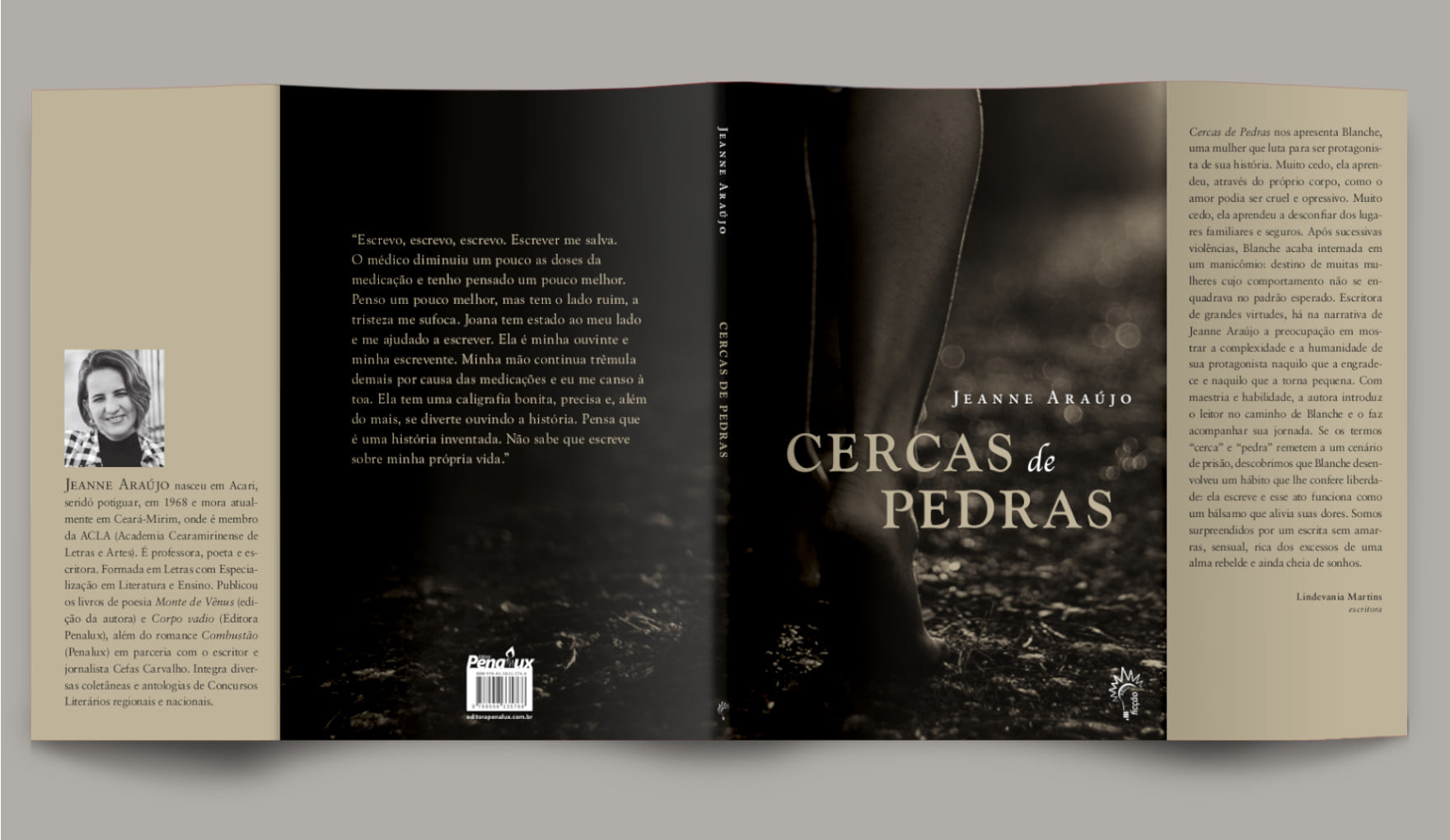 cercas de pedras 2019 - Romance "Cercas de Pedras" barbariza a sanidade do corpo-desejo da narradora Blanche no seio de uma família conservadora