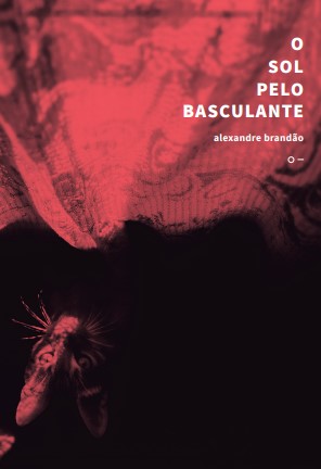 ALEXANDRE BRANDÃO - Fernando Andrade entrevista o poeta Alexandre Brandão
