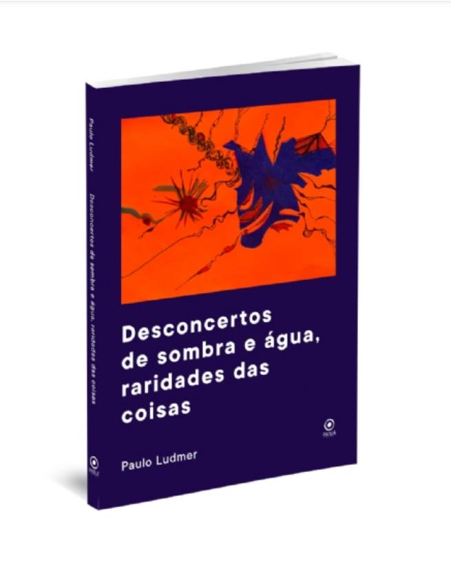 Paulo Ludmer - Livro de poemas 'Desconcertos de  sombra e  água, raridades das coisas' pinta as palavras com abstrações geométricas | Fernando Andrade