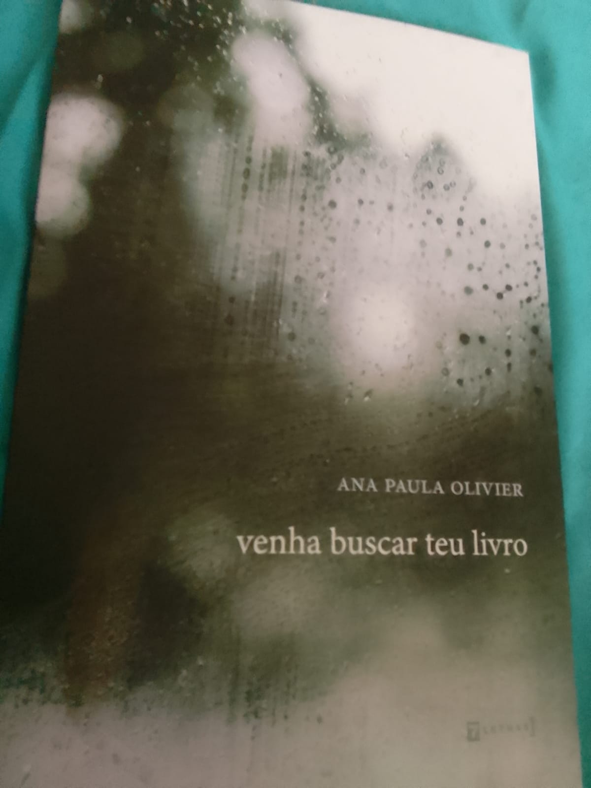 Ana Paula Olivier - Livro de poemas 'Venha buscar seu livro' faz do objeto livro a sublimação da perda e da dor