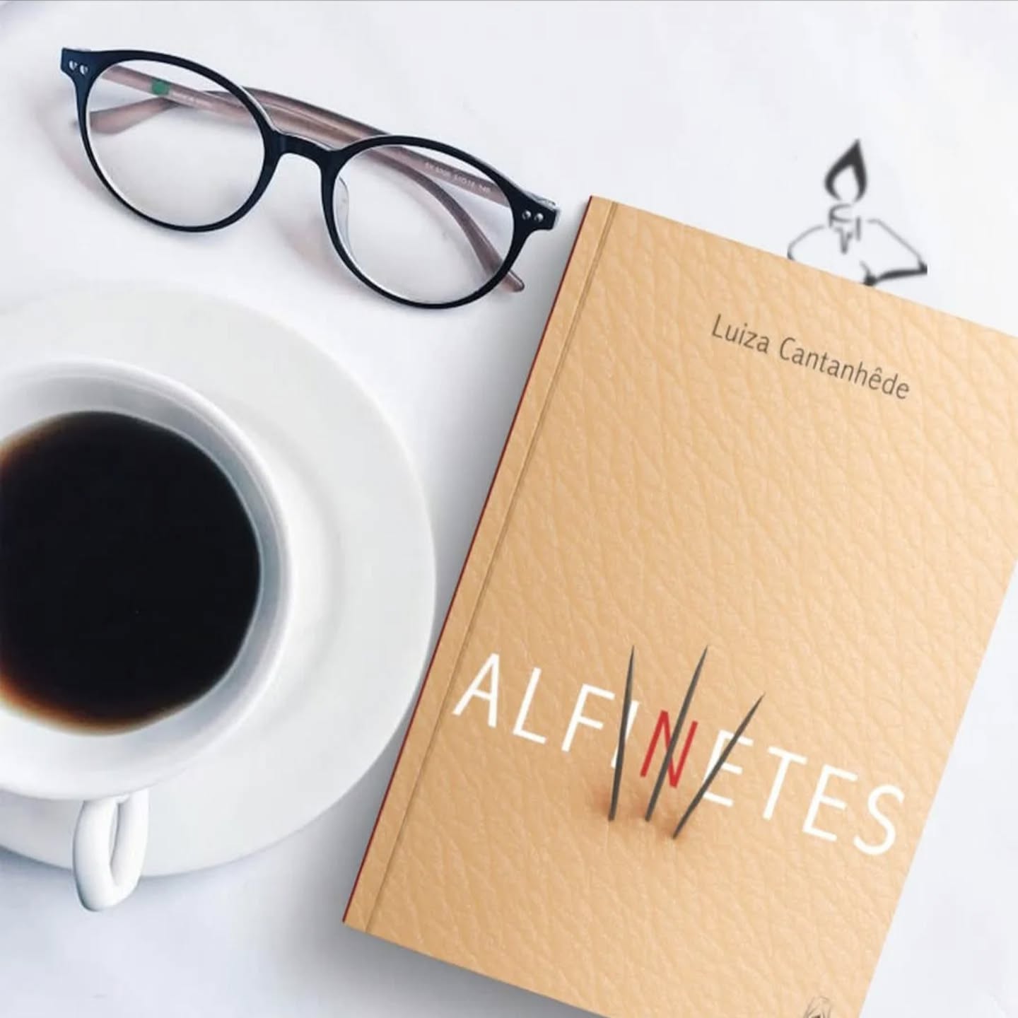 Luiza Cantanhede - Livro de poemas, Alfinetes, metaforiza o cerzir do corpo poético